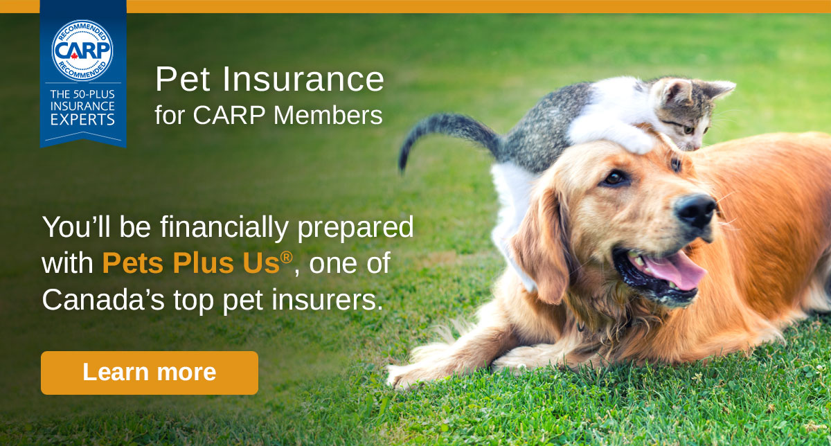 Trusted insurance coverage for dogs and cats, preferred rates for CARP members